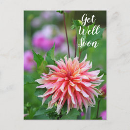 Postal Dahlia Flor Naranja y Rosa Pronto Mejor