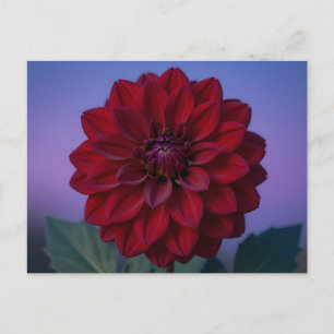 Postal Dahlia Flor Roja Borgoña Elegante