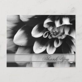 Postal Dahlia Flower en blanco y negro