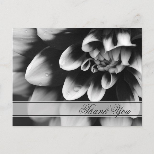 Postal Dahlia Flower en blanco y negro (Anverso)