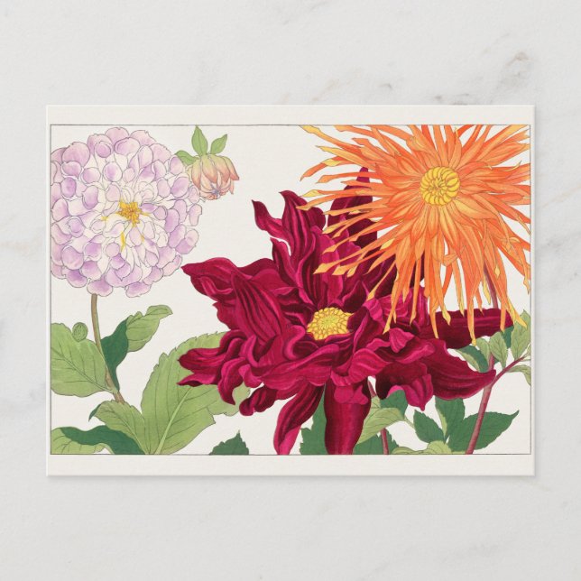 Postal Dahlia por Tanigami Konan (Anverso)