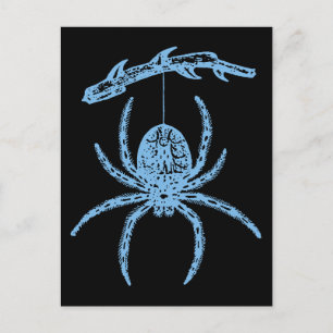 Postal Dainty Blue Spider