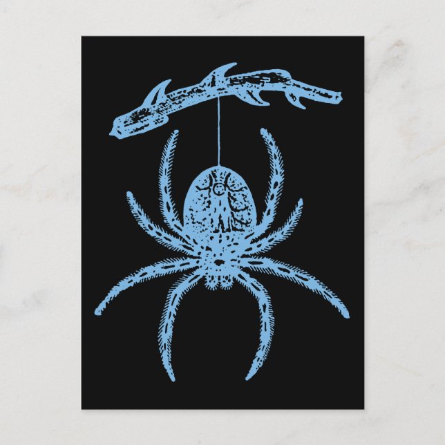 Postal Dainty Blue Spider (Anverso)