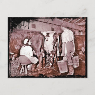 POSTAL DAIRY WWII