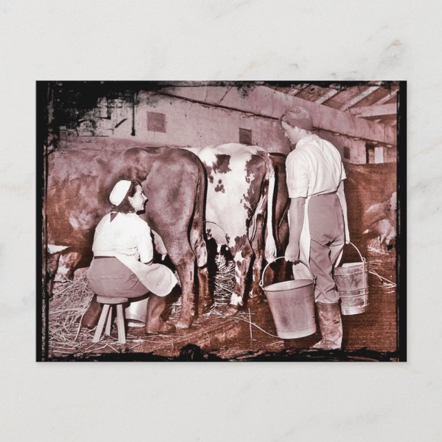 POSTAL DAIRY WWII (Anverso)