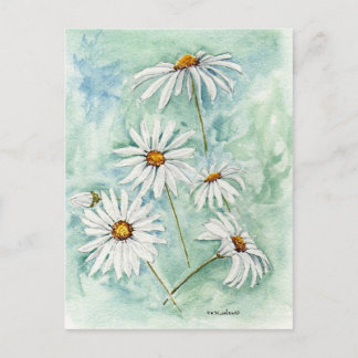 Postal 'Daisies'