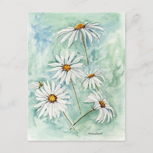 Postal 'Daisies' (Anverso)