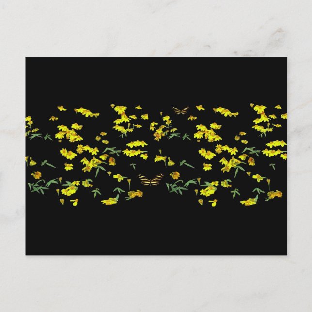 Postal Daisies amarillos (Anverso)