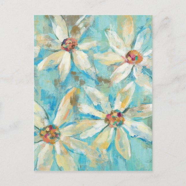 Postal Daisies blancos en azul (Anverso)