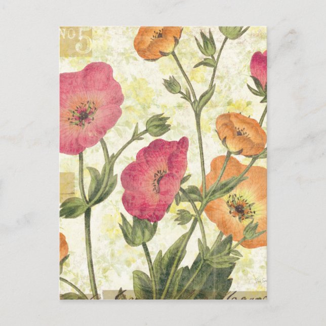 Postal Daisies coloridos (Anverso)