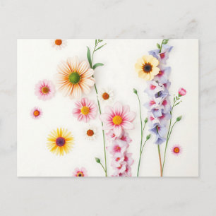 Postal Daisies de color de agua suave Delfinos