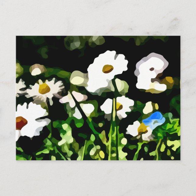 Postal Daisies en la pintura de Meadow (Anverso)