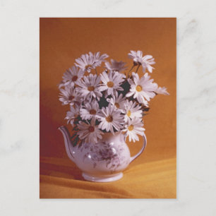 Postal Daisies En Teapot PostCard
