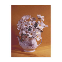 Daisies En Teapot PostCard