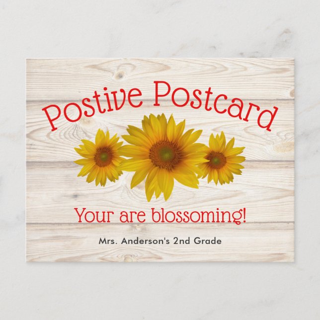 Postal Daisies florecientes | Noticias escolares positiva (Anverso)