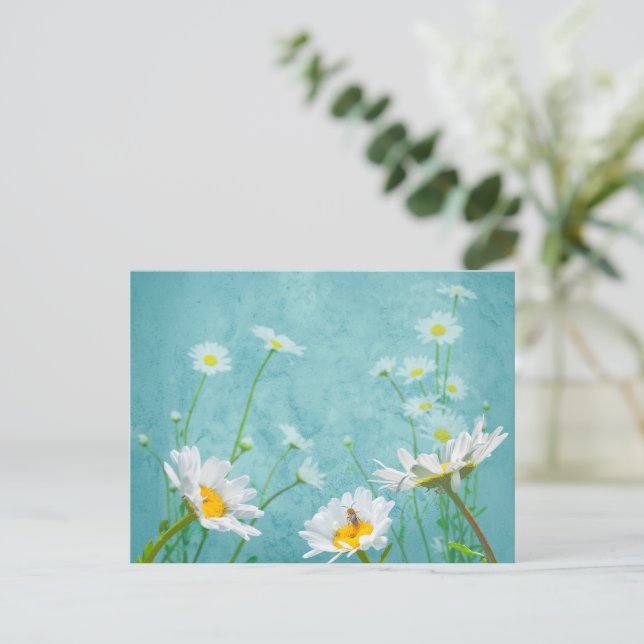 Postal Daisies on a blue background (Anverso de pie)