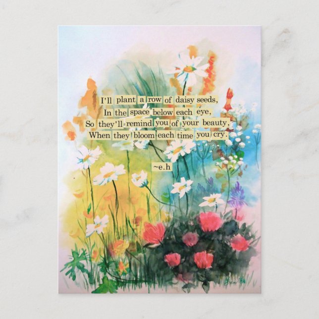 Postal Daisies Postcard (Anverso)