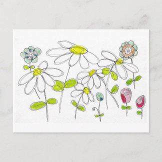 Postal Daisies Postcard