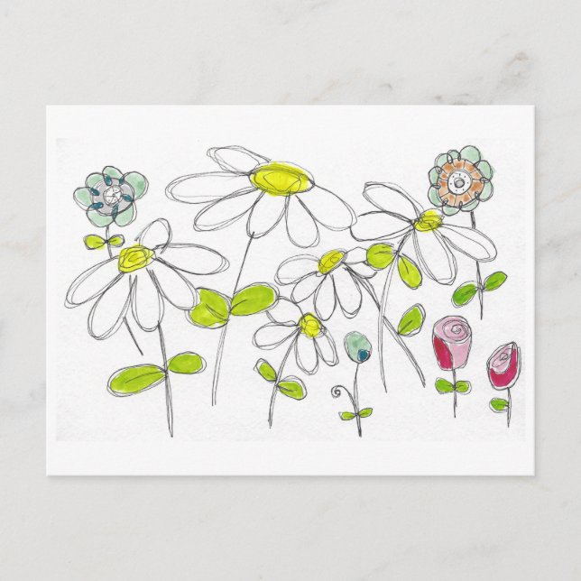 Postal Daisies Postcard (Anverso)
