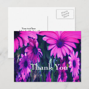 Postal Daisies púrpura Abstract Floral Gracias Postcard