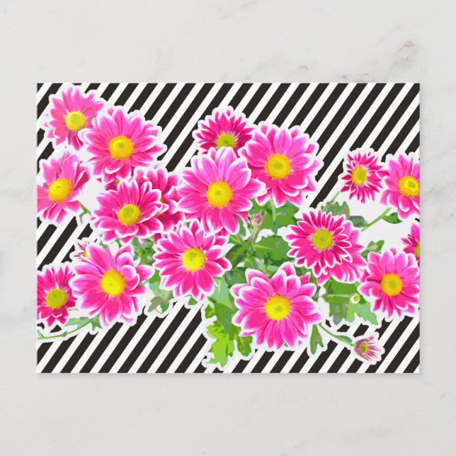 Postal Daisies rosados / Asters Bouquet & Strips + tu ide (Anverso)