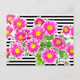 Postal Daisies rosados / Asters Bouquet & Strips + tu ide