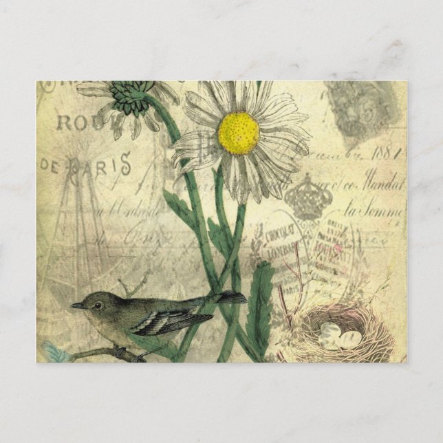 Postal Daisies vintage (Anverso)