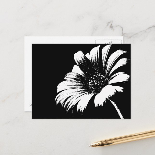 Postal Daisy (Anverso/Reverso In Situ)