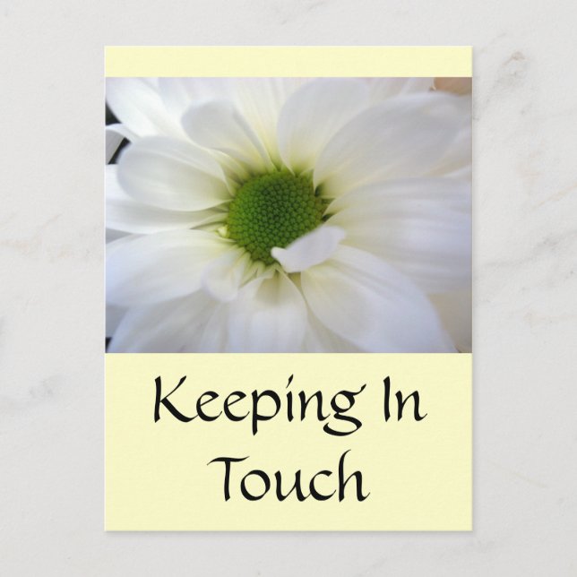 Postal Daisy blanco (Anverso)