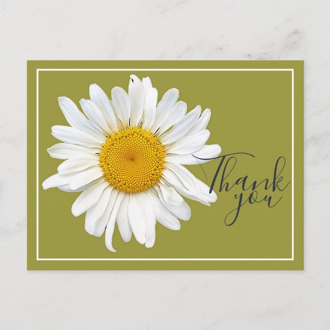 Postal Daisy blanco Centro amarillo fondo verde gracias (Anverso)