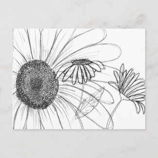 Postal Daisy, Daisy