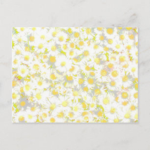 Postal Daisy Daisy