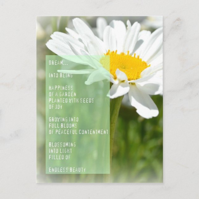 Postal Daisy Dream Poem Inspirador post Card (Anverso)