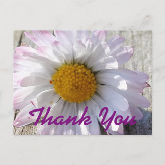 Postal Daisy Flower Gracias
