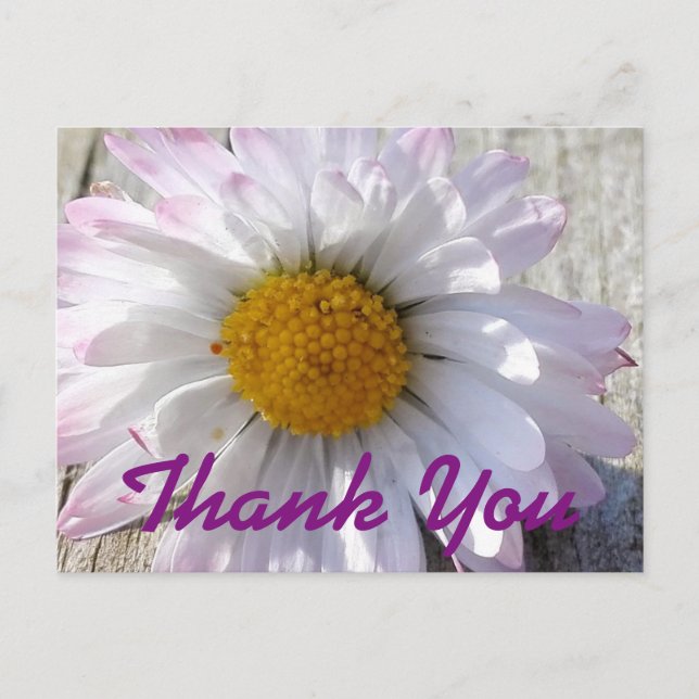 Postal Daisy Flower Gracias (Anverso)