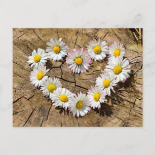 Postal Daisy Heart