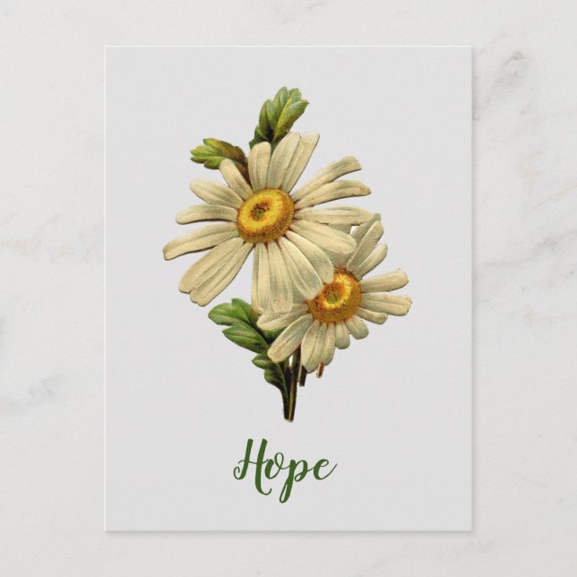 Postal Daisy Hope Inspiradora (Anverso)