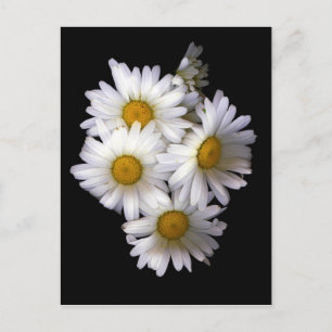 Postal Daisy IV