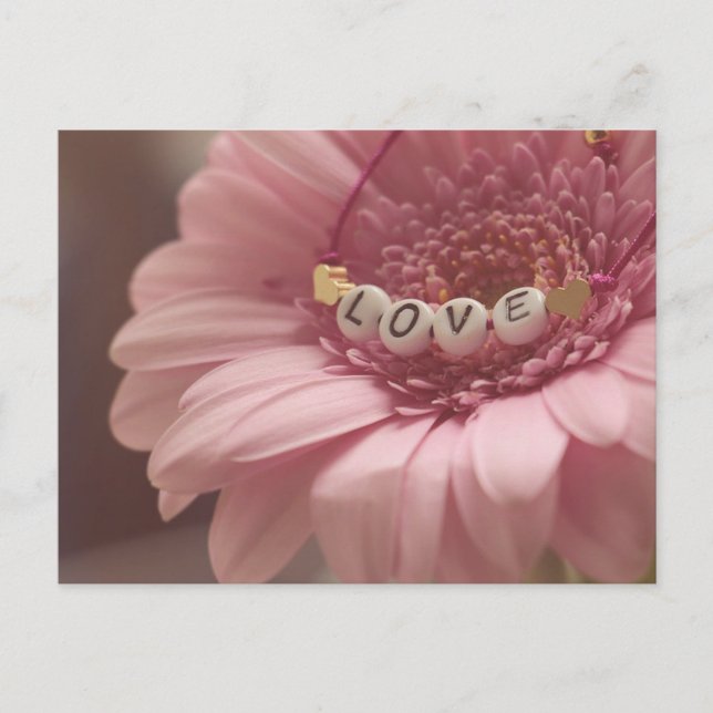 Postal Daisy Love (Anverso)