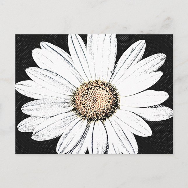 Postal Daisy Mae Postcard (Anverso)