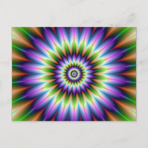 Postal Daisy Petals Post Card