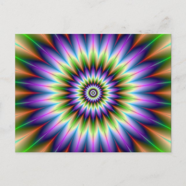 Postal Daisy Petals Post Card (Anverso)