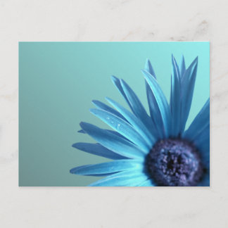 Postal Daisy pintado