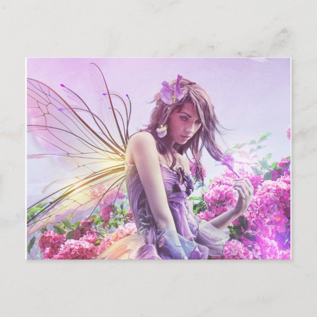 Postal Daisy Post Card Card (Anverso)