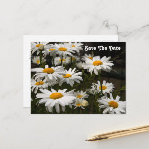 Postal Daisy Save The Date Postcard