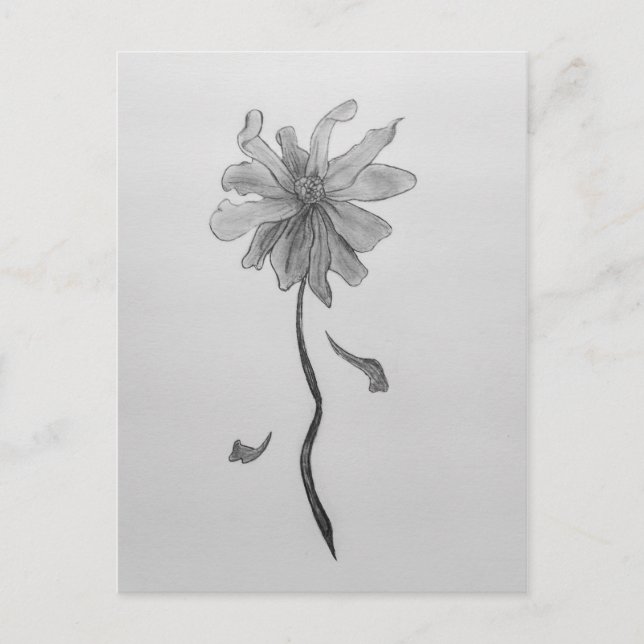 Postal Daisy simple (Anverso)