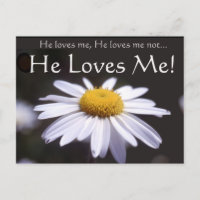 Daisy sobre fondo negro