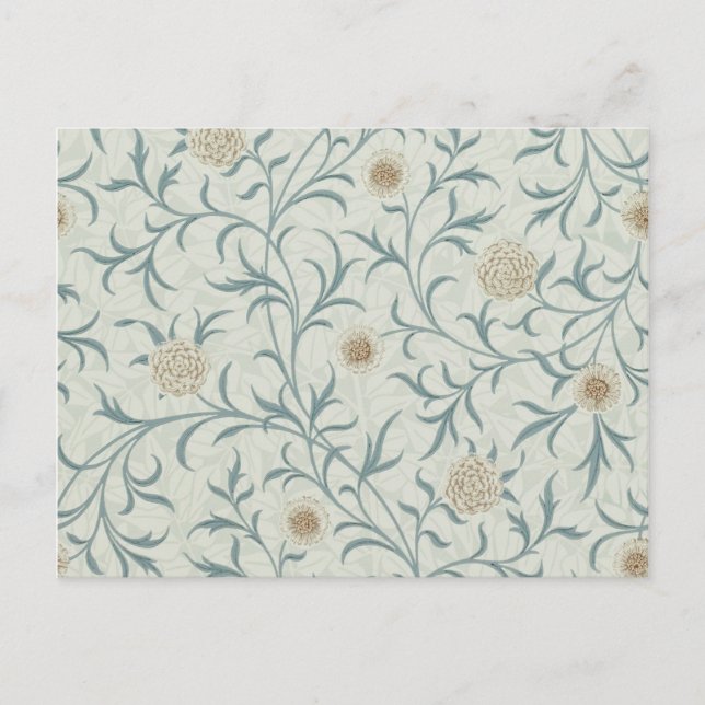 Postal Daisy, William Morris (Anverso)