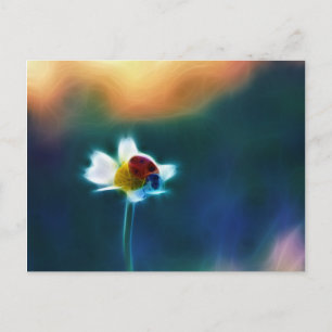 Postal Daisybug