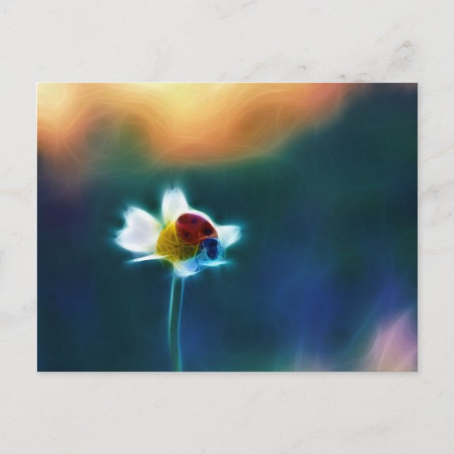 Postal Daisybug (Anverso)